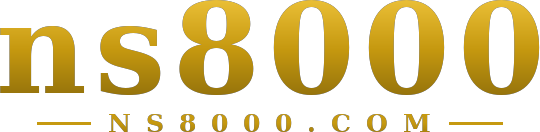 ns8000 logo